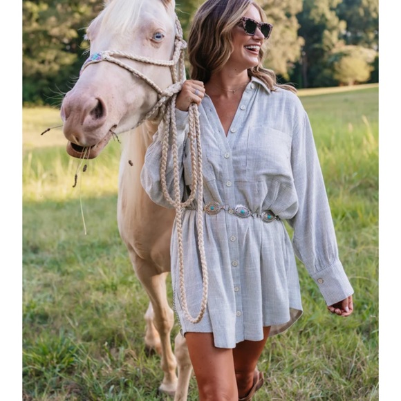 vestique Dresses & Skirts - Madison Shirt Dress
